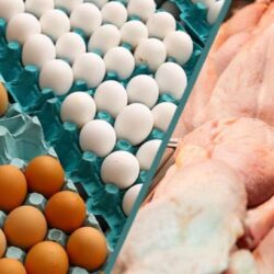 ۱۰۰ هزار تن مرغ و ۸۰ هزار تن تخم‌مرغ تا پایان سال صادر می‌شود