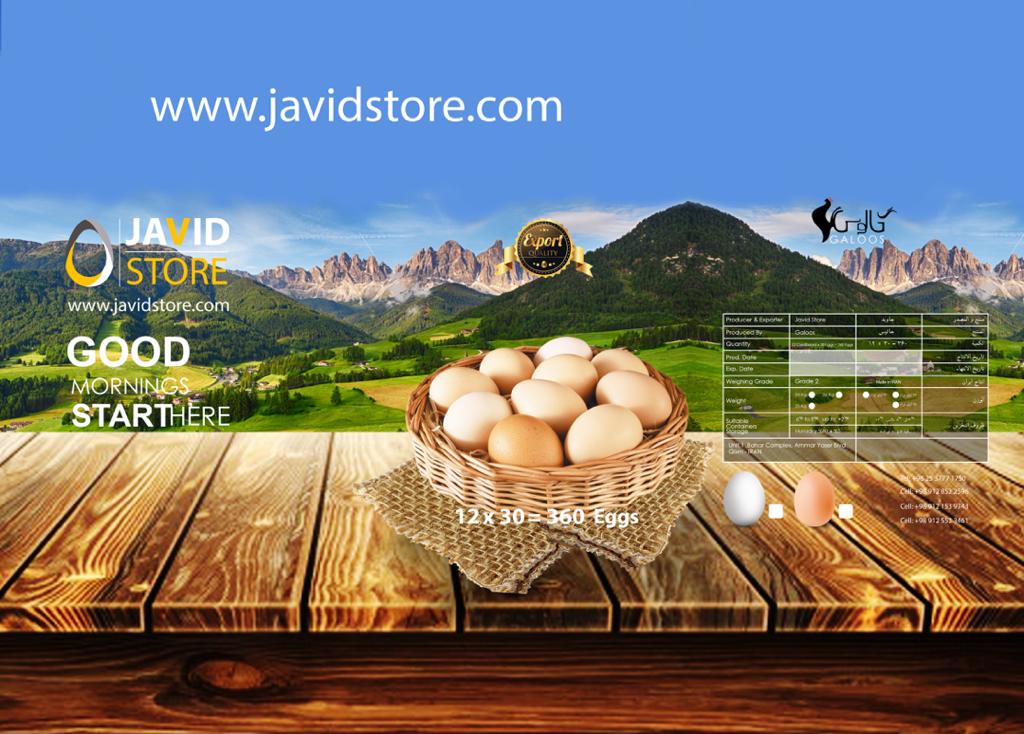 تخم مرغ صادراتی برند جاویداستور