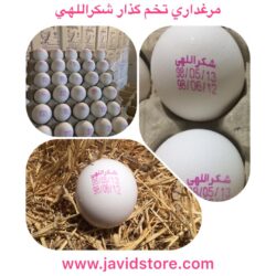 فروش تخم‌مرغ ۲۵ الی ۴۰ درصد پایین‌تر از نرخ مصوب