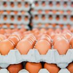 افزایش ۱۴۰ درصدی صادرات تخم مرغ نسبت به سال قبل