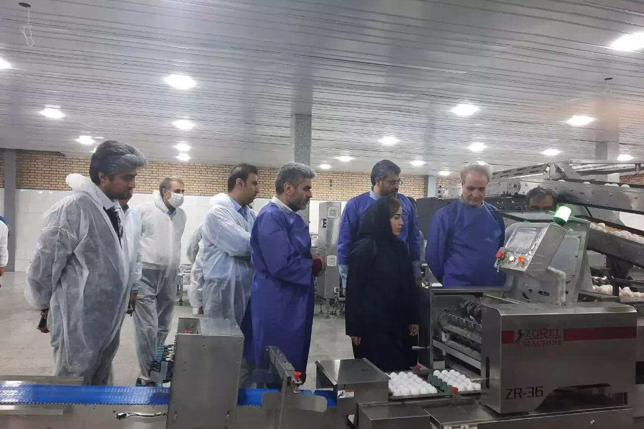افتتاح طرح توسعه زنجیره تخم‌مرغ استان تهران در فشافویه شهرری