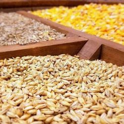 عضو هیئت مدیره اتحادیه واردکنندگان نهاده‌های دامی گفت: بر اساس آمار در ۴ ماهه نخست امسال بیش از ۶ میلیون و ۳۴۴ هزار تن نهاده دامی وارد شده است.