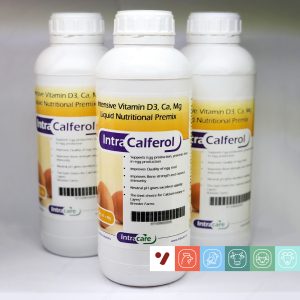 بهبود کیفیت پوسته تخم مرغ