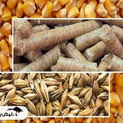 میزان واردات نهادههای دامی چقدر است؟