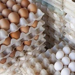 شیراز- مدیر بازرسی و نظارت بر کالاهای جهاد کشاورزی فارس گفت: قیمت تخم مرغ در فارس در روزهای اخیر افزایش نداشته و فروش بیش از ۶۵ هزار تومان برای هر کیلوگرم آن تخلف است.
