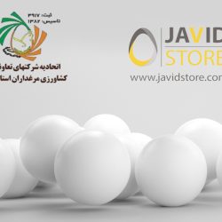 قیمت تخم مرغ آبان ماه 1403