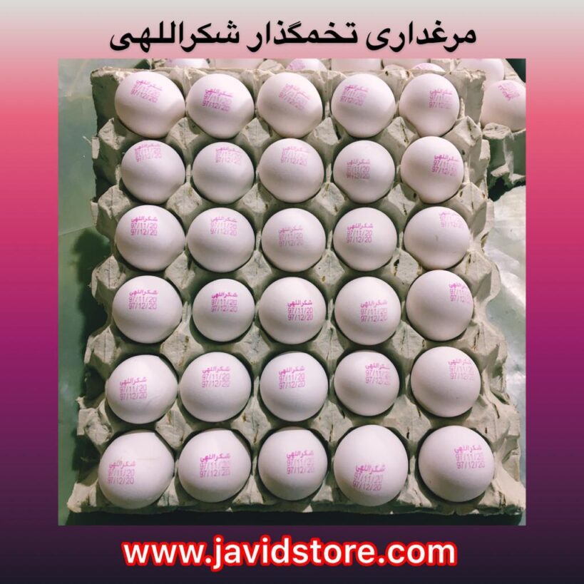 تخم مرغ ویژه شهر قم