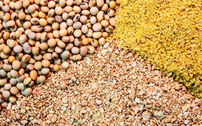 ۸۰ درصد از مکمل‌های خوراک دام کشور از طریق هرمزگان وارد می‌شود.