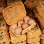 جمع‌آوری حداقل ۱.۷ میلیون تخم‌مرغ آلوده در آمریکا